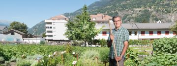 Mann arbeitet im Garten
